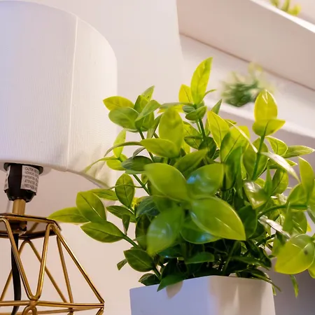 Апартаменты Elegantis Trevi - Just 50m From Trevi Fountain *